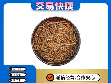 沧州市肃宁回收散虫草